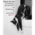 Text: "Nimm dir Zeit zum Nachdenken, aber wenn die Zeit zum Handeln kommt, hör auf mit Denken und geh los." Andrew Jackson. Eine Katze hängt entspannt auf einem Fensterbrett.