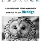 September/Oktober Kalenderwoche mit Zitat: "In zweifelhaften Fällen entscheide man sich für das Richtige." Eule abgebildet.