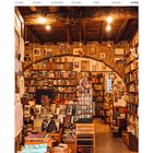 Kalenderdaten: 8. bis 14. Februar. Unten steht: "the open door bookshop, rome". Ein gemütlicher Buchladen mit vielen Regalen.