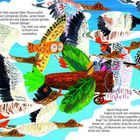 Eine farbenfrohe Illustration zeigt Vögel im Flug. Texte beschreiben eine fröhliche Szene mit Molly, Rubi und Spoki.