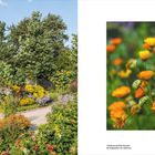 „Spätsommerliche Stauden mit Hagebutten der Apfelrose; Ringelblumen 113.“ Links: Bunte Gartenlandschaft, rechts: Nahaufnahme von Ringelblumen.