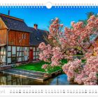 April; jährlich erfreut die 115 Jahre alte Magnolie die Wanderer an der Raduscher Buschmühle; Fachwerkhaus, blühender Baum.