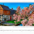 Text: "April", "Jährlich erfreut die inzwischen 115 Jahre alte Magnolie die Wanderer an der Radduscher Buschmühle." Ein Fachwerkhaus und blühender Magnolienbaum am Wasser.