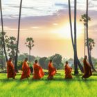 Mönche in orangefarbenen Roben gehen über ein grünes Feld, im Hintergrund Palmen und ein Sonnenuntergang.