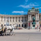 Ein prächtiges weißes Pferd zieht eine Kutsche vor einem historischen Gebäude mit Statuen und reichem Fassadenschmuck.