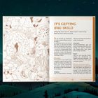 "IT’S GETTING (FAE-)WILD" ist ein Buchkapitel, das eine fantasievolle, magische Welt beschreibt. Links ist eine Illustration mit Pilzen und Feen.