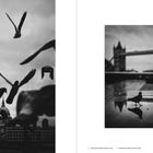 Links unten: "← Lorem ipsum dolor sit amet, 2025". Rechts: "Lorem ipsum dolor sit amet, 2025". Links: Silhouetten von Vögeln. Rechts: Taube vor Brücke.