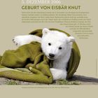 Am 5. Dezember 2006 Geburt von Eisbär Knut. Eisbärbaby auf grüner Decke, unten Kalender für November-Dezember.