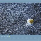 April 2027, mit Feiertagseintrag am 7. Visualisiert eine Muschel, umgeben von wirbelnden Wasserlinien.
