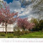 Kalenderblatt April 2027, Johannis's Park, rosa blühende Bäume, Gebäude im Hintergrund, bewölkter Himmel.