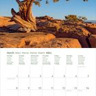 Kalenderblatt März 2027, mit Baumfoto oben. Wochentage in sechs Sprachen. Unterer Bereich mit Notizen und mehrsprachigen Titeln.