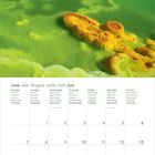 Kalenderseite Juni: Montag bis Sonntag in mehreren Sprachen. Bild zeigt grüne und gelbe Säureseen mit Hügel im Hintergrund.