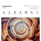 Kalender für September 2027, Woche 36. Bild der Spirale einer Weinbergschnecken-Schale in warmen Farbtönen.