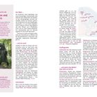 Seite 16: Usedom mit Kindern. Angebote am Meer und an Land, Ausflugsziele und Aktivitäten. Karte mit Usedom.