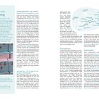 Seite 20, Titel: Shopping. Informationen zu Londons Einkaufsstraßen wie Sloane Street und Bond Street, Kaufhäusern und Märkten.