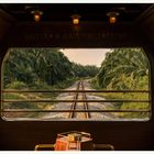 "Eastern & Oriental Express". Die Sicht aus einem Zugabteil auf Gleise, umgeben von grüner Vegetation.