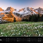 Alpen 04, Kalenderdaten unten. Frühlingswiese mit Krokussen, dahinter schneebedeckte Berge im Abendlicht.