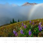 "04" oben am Kalender. Grüne Wiese mit lila Blüten, Nebel und Regenbogen, dahinter ein Berg.