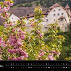 "Liechtenstein 04", "Kirschblüten vor dem Schloss Vaduz". Blühende rosa Kirschblüten, im Hintergrund ein Schloss.