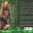 Ein stehender Braunbär mit Jungtier im Wald, daneben Text über umweltfreundlichen Buchdruck.