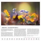 "Bergtour Freimahderköpfl (1020 m) // Leberblümchen im Sonnenlicht, März. Kalender zeigt Mittwochsdatum 16-29."