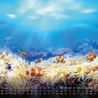 Kalender: Monatstage vom 1. bis 30. Auf dem Bild farbenfrohe Clownfische zwischen Korallen in klarem, blauem Wasser.