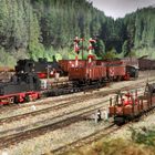 Text: „Dresden“, „99 586“. Mehrere Modelleisenbahnen auf einer Anlage, umgeben von Waldkulisse.