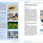 Titel: Wassergütebestimmung, Wasserfilter

Texte beschreiben Methoden zur Bestimmung der Wasserqualität mithilfe von Indikator-Insekten und zur Konstruktion eines Wasserfilters aus Materialien wie PET-Flasche, Sand und Stoff, ergänzt durch Hintergrundinformationen zur Bedeutung von sauberem Wasser.