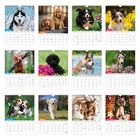 Kalender mit zwölf Seiten. Jeder Monat zeigt einen Hund: Husky, Cocker Spaniels, Berner Sennenhund, und mehr.