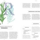 "Kräuter", "Rosmarinus officinalis", "Rosmarin", "Ernährung und Gesundheit", "Rezepte". Illustration von Rosmarin.