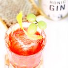 "Honig Gin" auf einer Flasche. Ein rotes Getränk im Glas mit Trauben und Zitronenschale garniert auf einem Bienenwaben-Glasuntersetzer.