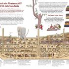 Schnitt durch ein Piratenschiff des 17. und 18. Jahrhunderts. Auf dieser Doppelseite siehst du einen Schnitt durch so ein Schiff.