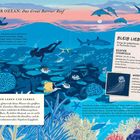 Pazifischer Ozean: Das Great Barrier Reef. Schon gewusst? Bleib lieber weg! Was sind Korallen? Ein Riff voller Leben und Farben.
