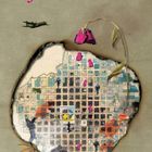 Cover/Product zoom