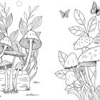 Links: Ein Frosch sitzt vor einem Baumstamm. Große Pilze wachsen daneben. Rechts: Pilze, Schmetterling und Raupe.