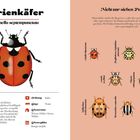 "Marienkäfer", gefolgt von "Coccinella septempunctata". Illustration eines Siebenpunkt-Marienkäfers und anderer Arten.