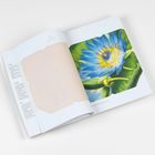 Anleitungstext: "Ecken falten. Unbekannter Text." Illustration einer blauen und gelben Blume mit großem grünen Blatt.