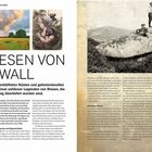 "Die Riesen von Cornwall" steht groß, gefolgt von einer Beschreibung der Legenden von Riesen in Cornwall. Links oben: ein Megalith. Rechts: zwei historische Fotos, ein Gemälde.