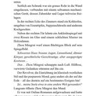 Text beschreibt eine Szene in einem Raum mit Möbeln und einem Spiegel. Eine Figur, Zhou Mingrui, reflektiert über sich selbst.