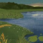 Ein Teich bei Nacht. Schilf, Gräser, weiße Blüten, Seerosen, ein Teich und Bäume im Hintergrund.