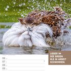 "LIEBER IM SEE BADEN ALS IN ARBEIT SCHWIMMEN." Ein Vogel badet im Wasser, umgeben von spritzenden Tropfen. Kalender: KW36/2027.