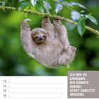 Ich bin so langsam, ich könnte gemalt statt geblitzt werden. Kalender für September, KW 37/2027. Ein Faultier hängt an einem Ast.