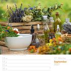 37. Woche, September 2027. Montag, 13 bis Sonntag, 19. Heilkräuter und natürliche Tinkturen.
