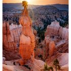 Kalenderwoche 40, Oktober. Montag 4 bis Sonntag 10. Sonnenaufgang über roten Felsen im Bryce-Canyon-Nationalpark.