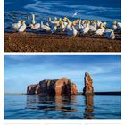 20-26. September 2027; Weltkindertag; Herbstanfang.  

Basstölpel auf Felsen vor tiefblauem Meer; rote Felsformation im Wasser.