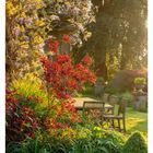 41 OKTOBER, MO 11 DI 12 MI 13 DO 14 FR 15 SA 16 SO 17. Sitzgruppe im Garten, umgeben von bunten Blumen und Bäumen.