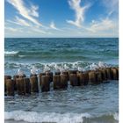 "41 Oktober, Mo 11, Di 12, Mi 13, Do 14, Fr 15, Sa 16, So 17." Möwen sitzen auf Holzpfählen im Meer unter blauem Himmel.