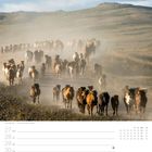 Islandpferde. 27 Mo, 28 Di, 29 Mi, 30 Do, 01 Fr, 02 Sa, 03 So Tag der Deutschen Einheit. September Oktober. 39. Woche.