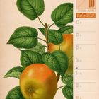 Der Text beschreibt Kalenderdaten: 9. und 10. September/Oktober, Woche 39/2027. Illustration eines Apfels mit Blättern.