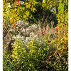 Kalenderblatt Oktoberwoche, herbstlicher Garten mit buntem Laub und blühenden Pflanzen.